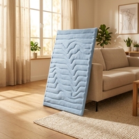 Tapis de couchage auto-refroidissant de luxe pliable et écologique pour animaux de compagnie, en tissu résistant aux rayures, taille M, pour chiens et chats