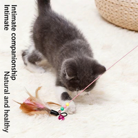 Bâtonnet interactif pour chat en fil d'acier avec plume, long et élastique, résistant aux morsures, pour jeu autonome