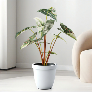 ก้านใบไม้ประดิษฐ์ 8 ใบ หลากสีสัน รูปทรงหัวลูกศร พร้อมแจกัน ตกแต่งบ้านและสำนักงานได้เลย - Product Image 5