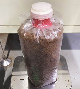 Bouchon et anneau en PP multi-spécifications pour sac de champignons comestibles bouchon et anneau de haute qualité pour sac de culture de champignons - Product Image 4