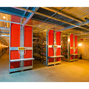 Tuổi thọ lâu dài lồng pin thiết bị gia cầm Gà Nuôi Gà hình chữ H gà Pin lớp gà gà trứng lồng - Product Image 5