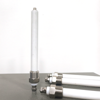 Sanqiaohui PTFE SUS304 3/8NPT Électrode de niveau d'eau, interrupteur de niveau de liquide, capteurs de haute qualité 24VDC/110VAC/220VAC/380VAC
