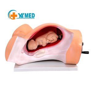 แบบจำลองการคลอดที่เลียนแบบได้สูงสำหรับการฝึกอบรมการสอน พร้อมการสาธิตการคลอดทารกในครรภ์ ได้รับการรับรองมาตรฐาน ISO - Product Image 1