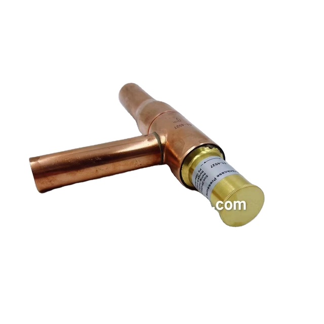 Replace Expansion Valve 61-4527 3E71871G01 61-2990 Suitable for TS 300 200 KD II MD II 200