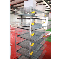 Chevelure de poulet automatique pouces, système de Cage moderne pour élevage de volaille