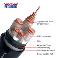 YJV22 0,6/1,0 kV CU/XLPE/PVC Kupfer 25mm 35mm 50mm 70mm 95mm 120mm 150mm 185mm 240mm 300mm 2-adriges Stahlband-Panzer kabel