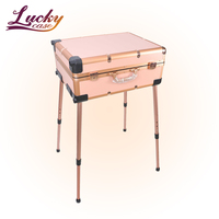 Roulant maquillage Train Studio coiffeur maquilleur Trolley Case avec lumière LED miroir jambes réglables et roues détachables