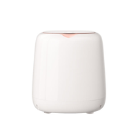 Mini-lave-linge entièrement automatique, machine intégrée à pulsateur vertical pour le lavage et le séchage des sous-vêtements