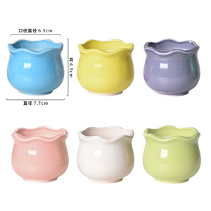 Vaso in Ceramica per Mini <span class=keywords><strong>Piante</strong></span> <span class=keywords><strong>Grasse</strong></span> Stile Europeo - Ideale per Decorazioni da Tavolo per Interni - Product Image 6