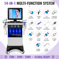 Machine professionnelle d'hydrodermabrasion 14 en 1, machine de beauté faciale multifonctionnelle pour salon de beauté, équipement de soin de la peau