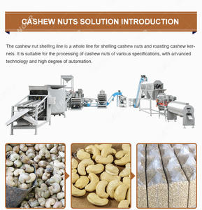 Machine à broder les noix bouddhhi du brésil, taux d'oxygène dans le sang, 90 — 95% - Product Image 6