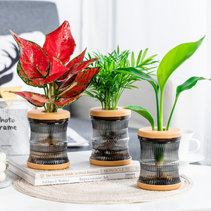 <span class=keywords><strong>Pot</strong></span> de fleurs hydroponique créatif en résine PET transparente P443, petit, simple, design épuré, pour une utilisation sur le bureau - Product Image 1