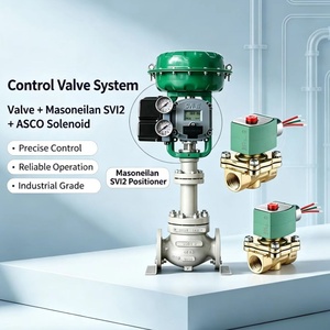 Masoneilan SVI2-21113111 SVI2-21123121 Smart Digital avec électrovannes à bobine - Product Image 4