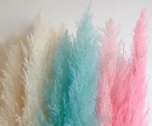 De pampas grass para decoración de <span class=keywords><strong>la</strong></span> boda flores - Product Image 4