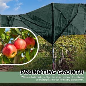 ตาข่ายคลุมสวน HDPE สีเขียว ป้องกันรังสียูวี สำหรับสวนผลเบตงและ<span class=keywords><strong>แตงโม</strong></span> - Product Image 1