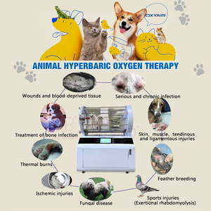 Fabrikant Dierenarts Hyperbare Zuurstoftherapie Kamerapparatuur <span class=keywords><strong>Pet</strong></span> Icu Cage Clinic Care Dierintensive Care <span class=keywords><strong>Pet</strong></span> Icu <span class=keywords><strong>Hbot</strong></span> - Product Image 4