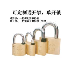 Candado de Latón de 30 mm con Forma de Flor de Ciruelo, Llave Universal, Impermeable, Resistente a la Oxidación, para Cajas de Medidores de Energía, Candado de 35 mm con Apertura Pasante para Caja de Medidor - Product Image 3