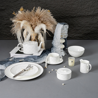 Service de table en porcelaine fine P&T Luxury Silver Decal, assiettes et bols pour hôtel et restaurant, fabricant de vaisselle de luxe.