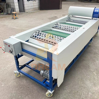 Automatische Knoflook Kruidnagel Aardappel Sortering Separator Machine Kersengroente Fruit Olijf Knoflook Grootte Sorteermachine