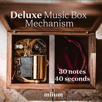 Boîte à musique personnalisée de luxe avec votre propre conception et mélodie Boîte en bois à bijoux personnalisée en bois naturel Mécanisme de remontage de 30 notes