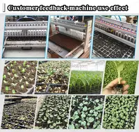 공장 공급 세미 자동 양상추 양배추 씨앗 심기 보육 씨앗 기계