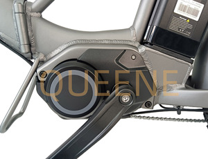 QUEENE/Bicicleta Eléctrica Plegable de 20 Pulgadas, Tipo Beach Cruiser, con Motor Central de 48V 250W - Product Image 4