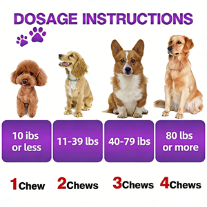 Suplemento Probiótico <span class=keywords><strong>para</strong></span> Mascotas OEM/ODM <span class=keywords><strong>para</strong></span> <span class=keywords><strong>Perros</strong></span> y Gatos, Refuerza el Sistema Inmunitario, Promueve la Salud Intestinal, Golosinas Blandas con Aceite de Pescado, Vitamina E y Calcio <span class=keywords><strong>para</strong></span> Todos - Product Image 4