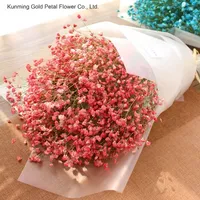 Kunming Hochwertige Günstige Großhandels-Trockenblumen Gypsophila für Hochzeits- und Heimdekoration