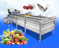 Industriële fruit- en groentewasmachine voor het reinigen van aardbeien, bosbessen en kersen