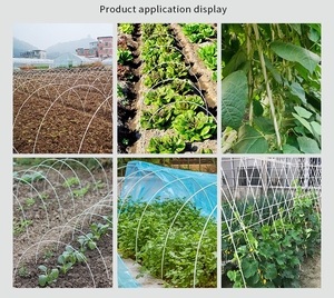 Nhà Máy Bán Hàng Trực Tiếp 3Mm-10Mm Linh Hoạt FRP Rắn Rod Pultrusion Sợi Thủy Tinh Ba Lan Với Cắt Dịch Vụ Giá Cả Cạnh Tranh - Product Image 6