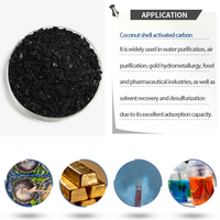 Charbon actif de coque de noix de coco 25 kg, granulés 6x12, pureté 99,9 % pour le traitement de l'eau et l'extraction de l'or