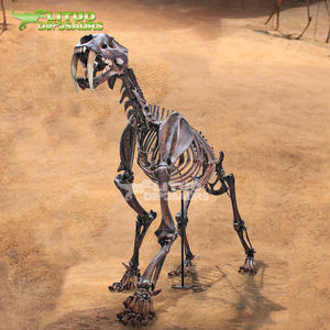 Squelette de <span class=keywords><strong>tigre</strong></span> à dents de <span class=keywords><strong>sabre</strong></span> en résine pour exposition muséale - Product Image 3