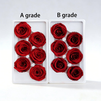 Vente en gros de boutons de roses préservées de qualité B de 5-6 cm, 6 pièces/boîte, fleurs au toucher réel, arrangements floraux DIY pour la fête des mères, la remise des diplômes