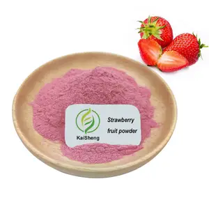 Wholesale Bulk Instant Soluble Fruit Powder Organic Strawberry Powder
