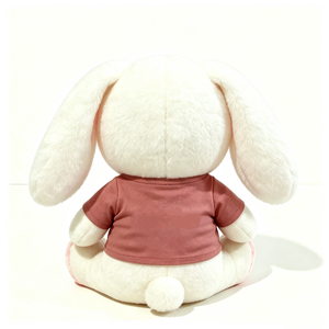 Peluche lapin personnalisée pour le coucher, cadeau d'anniversaire en peluche lapin, animal en peluche avec message positif, peluche décorative lapin joyeux - Product Image 3