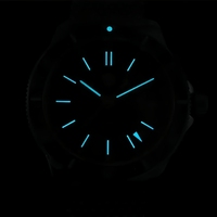 Montre pour hommes ODM Custom Original Design Sports Diver GMT 41mm Super Lumineux NH34 Automatique 200m Montre de plongée