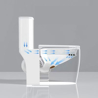 Ensemble de toilette monobloc gris au design moderne articles sanitaires en céramique toilettes à double chasse d'eau pour la maison