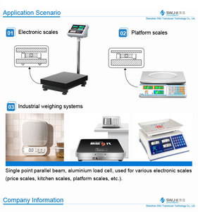Sup91 Hoge Kwaliteit Aluminium Load Cell Prijs Computing Schalen Bench Retail Weegschalen 3-100Kg 100-200Kg 200-350Kg S Type Serie - Product Image 5