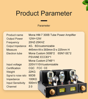Hochwertiger 300B Audio-Prozessor, Maßgefertigter Spannungsverstärker, 12W X 2, Direkter Werksversand in Großmengen