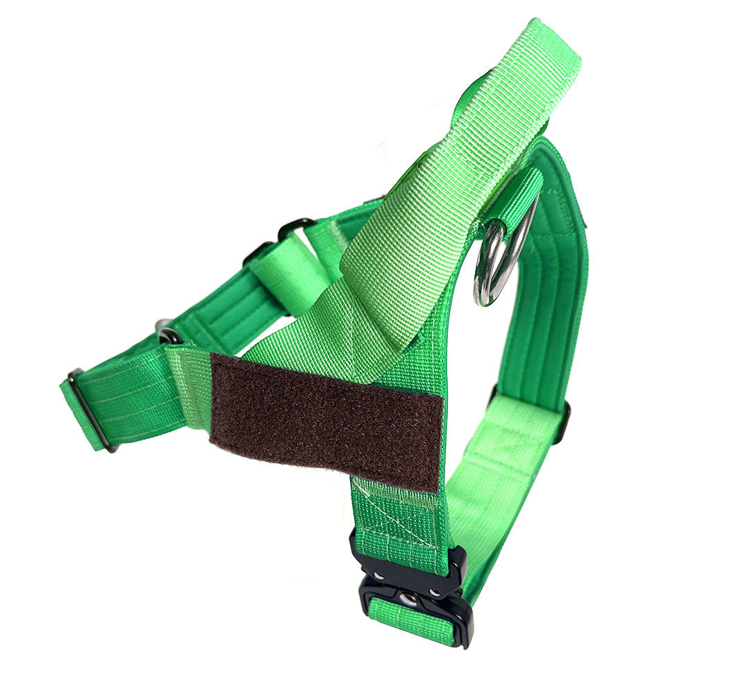 สีเขียว