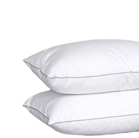 Oreillers de remplissage alternatifs en duvet souple de qualité supérieure certifiés OEKO Oreiller en peluche de lit personnalisé