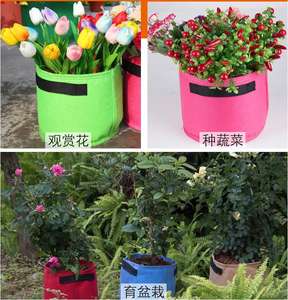 Nuevas Ideas de Productos 2026, Bolsa de Cultivo para Macetas de 5L, 10L, 20L, 40L - Product Image 6