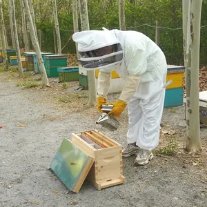 Nghề nuôi ong tổ ong 5 khung NUC Hive với lưới cơ sở cho nghề nuôi ong hạt nhân tổ ong - Product Image 6