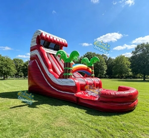 Toboggan aquatique gonflable tropical commercial en PVC robuste avec piscine à jets et <span class=keywords><strong>d</strong></span>écoration palmier pour la <span class=keywords><strong>location</strong></span> - Product Image 5