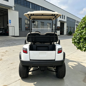Nuevo Modelo D Carro de Golf Eléctrico de 2 Plazas con Estructura de Aluminio - Product Image 6