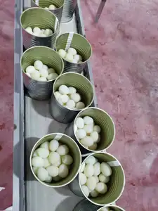 Cheap Price Boiled Quail Eggs Canned Boiled Quail Eggs In Brine