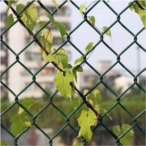 <span class=keywords><strong>Malla</strong></span> <span class=keywords><strong>de</strong></span> Alambre Galvanizado, Paneles <span class=keywords><strong>de</strong></span> Cerca <span class=keywords><strong>de</strong></span> Alambre <span class=keywords><strong>de</strong></span> 6 pies, <span class=keywords><strong>Malla</strong></span> <span class=keywords><strong>de</strong></span> Protección para Jardín y Zonas Verdes con Aberturas <span class=keywords><strong>de</strong></span> 4x4 Pulgadas, Material Ecológico - Product Image 4