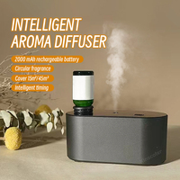Diffuseur d'Huiles Essentielles Aromatiques USB Rechargeable 2000mAh Intelligent, Nébuliseur Automobile Sans Eau pour Maison et Bureau