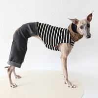Manteau d'été moderne et minimaliste en jean 3D à jambes larges pour chien, léger et tendance, pour lévrier italien et whippet