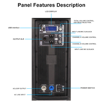 Module d'amplificateur actif professionnel pour haut-parleur audio domestique avec DSP intégré, module amplificateur Bluetooth pour subwoofer